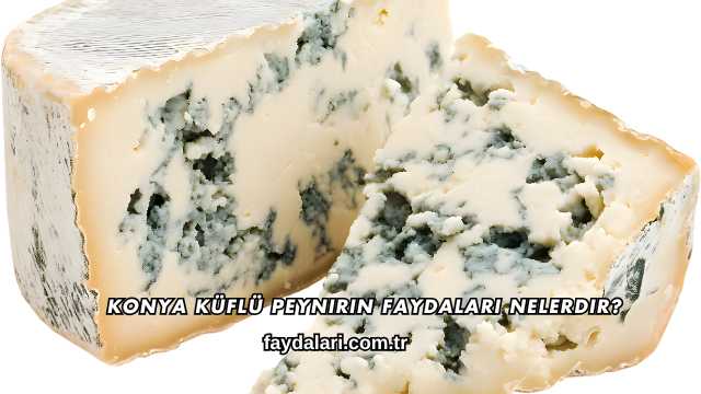 Konya Küflü Peynirin Faydaları Nelerdir?