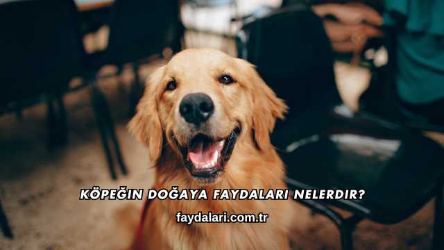 Köpeğin Doğaya Faydaları Nelerdir?