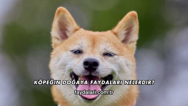 Köpeğin Doğaya Faydaları Nelerdir?