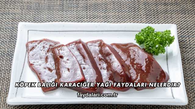 Köpek Balığı Karaciğer Yağı Faydaları Nelerdir?