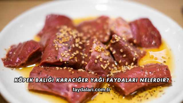 Köpek Balığı Karaciğer Yağı Faydaları Nelerdir?