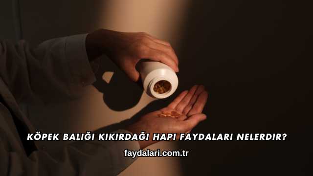 Köpek Balığı Kıkırdağı Hapı Faydaları Nelerdir?