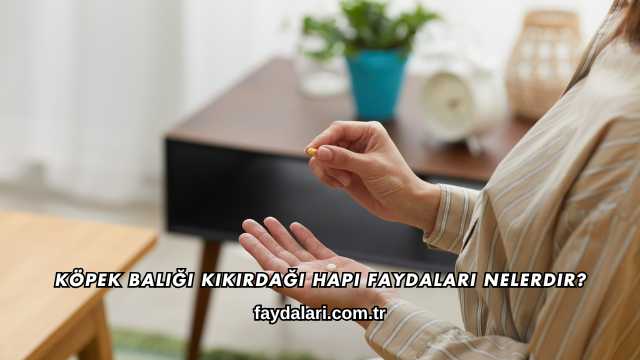 Köpek Balığı Kıkırdağı Hapı Faydaları Nelerdir?