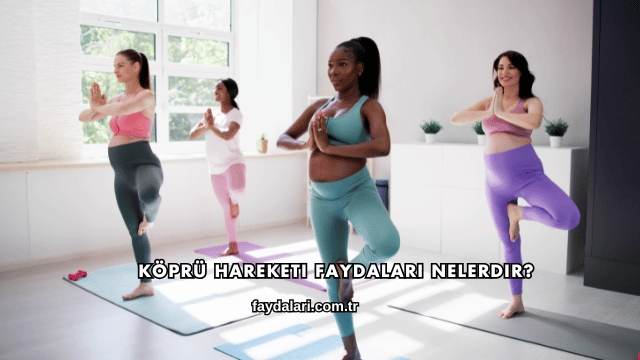 Köprü Hareketi Faydaları Nelerdir?