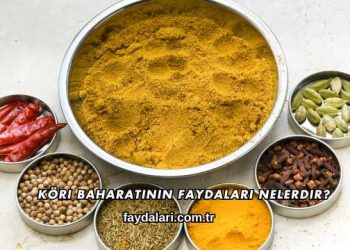 Köri Baharatının Faydaları Nelerdir?