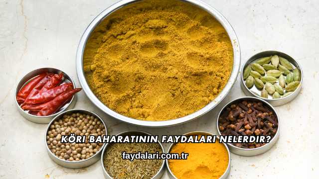 Köri Baharatının Faydaları Nelerdir?