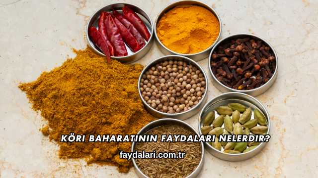 Köri Baharatının Faydaları Nelerdir?