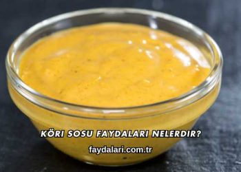 Köri Sosu Faydaları Nelerdir?