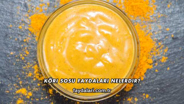 Köri Sosu Faydaları Nelerdir?
