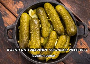 Kornişon Turşunun Faydaları Nelerdir?