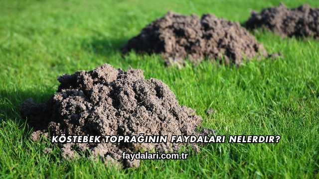 Köstebek Toprağının Faydaları Nelerdir?