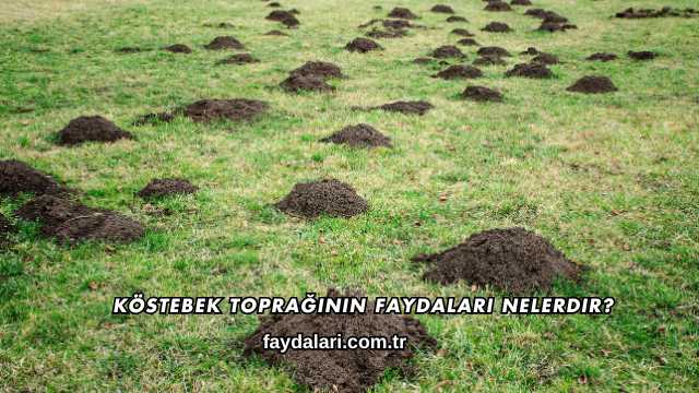 Köstebek Toprağının Faydaları Nelerdir?