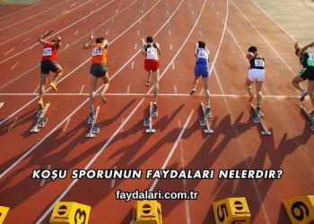 Koşu Sporunun Faydaları Nelerdir?