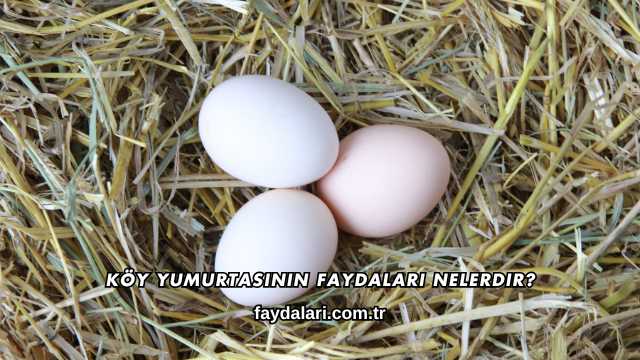 Köy Yumurtasının Faydaları Nelerdir?
