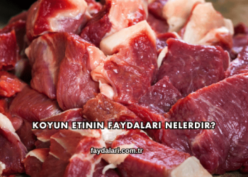 Koyun Etinin Faydaları Nelerdir?