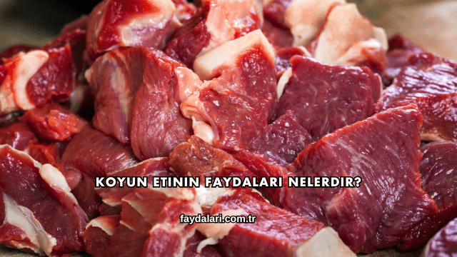 Koyun Etinin Faydaları Nelerdir?