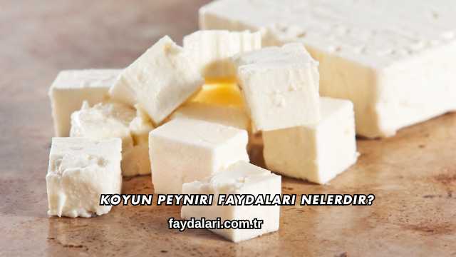 Koyun Peyniri Faydaları Nelerdir?