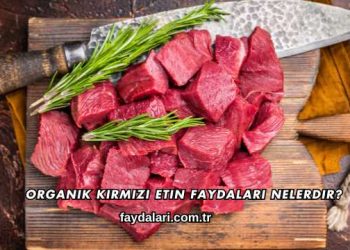 Organik Kırmızı Etin Faydaları Nelerdir?