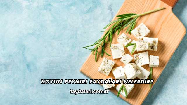 Koyun Peyniri Faydaları Nelerdir?