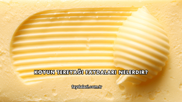 Koyun Tereyağı Faydaları Nelerdir?