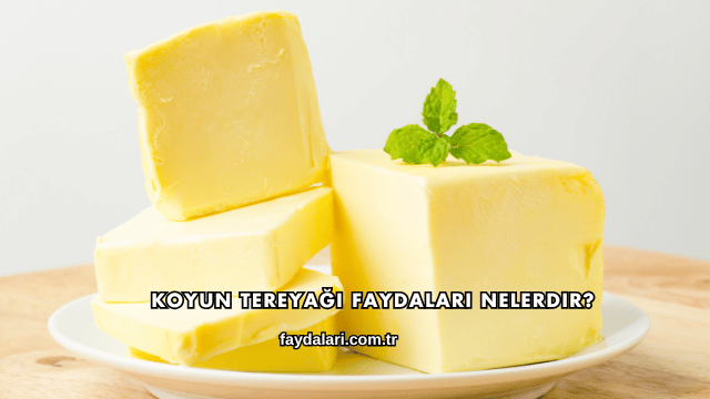 Koyun Tereyağı Faydaları Nelerdir?