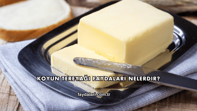 Koyun Tereyağı Faydaları Nelerdir?
