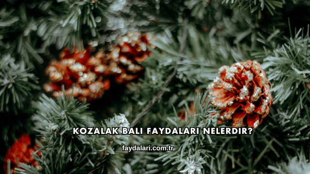 Kozalak Balı Faydaları Nelerdir?