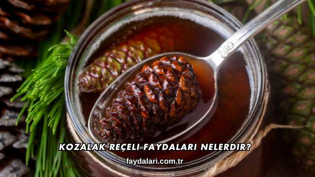 Kozalak Reçeli Faydaları Nelerdir?