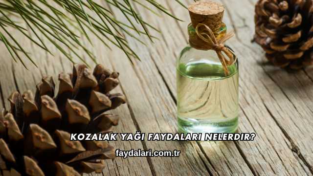 Kozalak Yağı Faydaları Nelerdir?