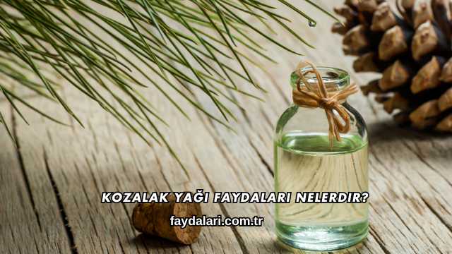 Kozalak Yağı Faydaları Nelerdir?