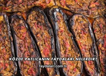 Közde Patlıcanın Faydaları Nelerdir?