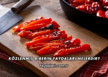 Közlenmiş Biberin Faydaları Nelerdir?