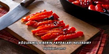 Közlenmiş Biberin Faydaları Nelerdir?