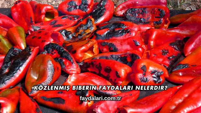 Közlenmiş Biberin Faydaları Nelerdir?