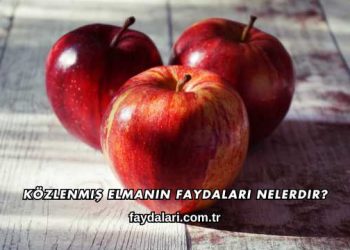 Közlenmiş Elmanın Faydaları Nelerdir?