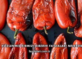 Közlenmiş Kırmızı Biberin Faydaları Nelerdir?