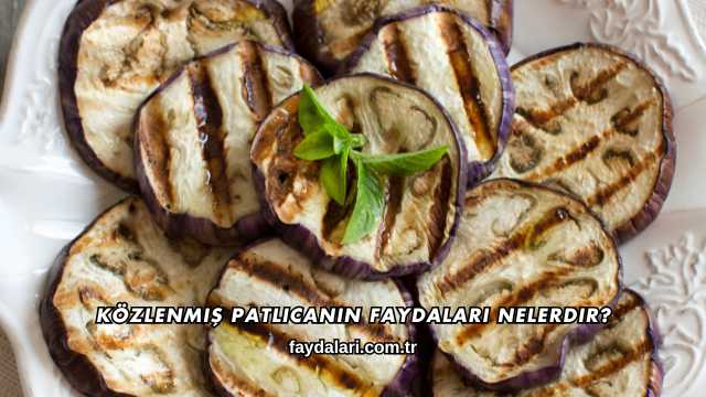 Közlenmiş Patlıcanın Faydaları Nelerdir?