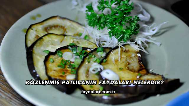 Közlenmiş Patlıcanın Faydaları Nelerdir?