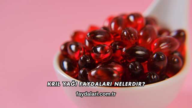 Kril Yağı Faydaları Nelerdir?