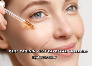 Krill Yağının Cilde Faydaları Nelerdir?