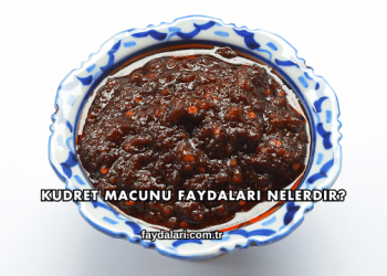 Kudret Macunu Faydaları Nelerdir?