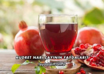 Kudret Narı Çayının Faydaları?