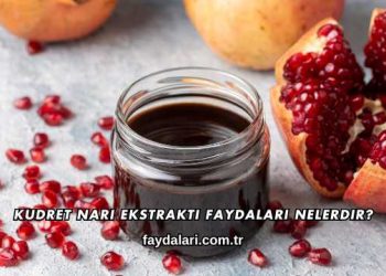 Kudret Narı Ekstraktı Faydaları Nelerdir?