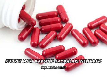 Kudret Narı Kapsülü Faydaları Nelerdir?
