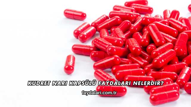 Kudret Narı Kapsülü Faydaları Nelerdir?