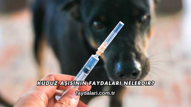 Kuduz Aşısının Faydaları Nelerdir?