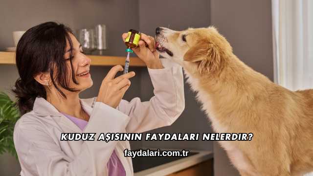 Kuduz Aşısının Faydaları Nelerdir?