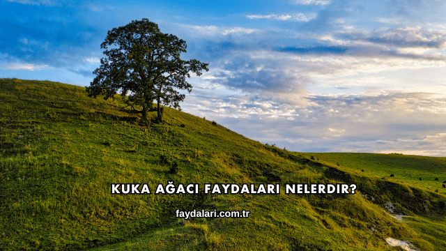 Kuka Ağacı Faydaları Nelerdir?