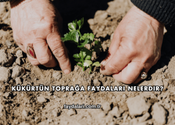Kükürtün Toprağa Faydaları Nelerdir?