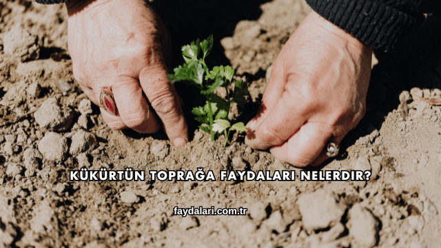 Kükürtün Toprağa Faydaları Nelerdir?